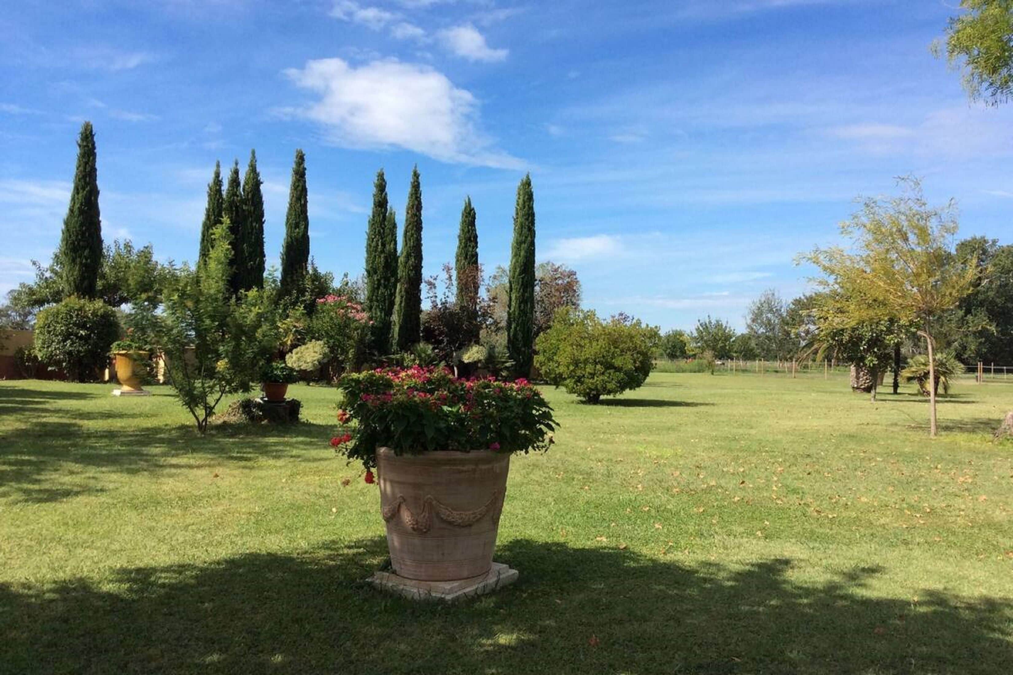 Jardín
