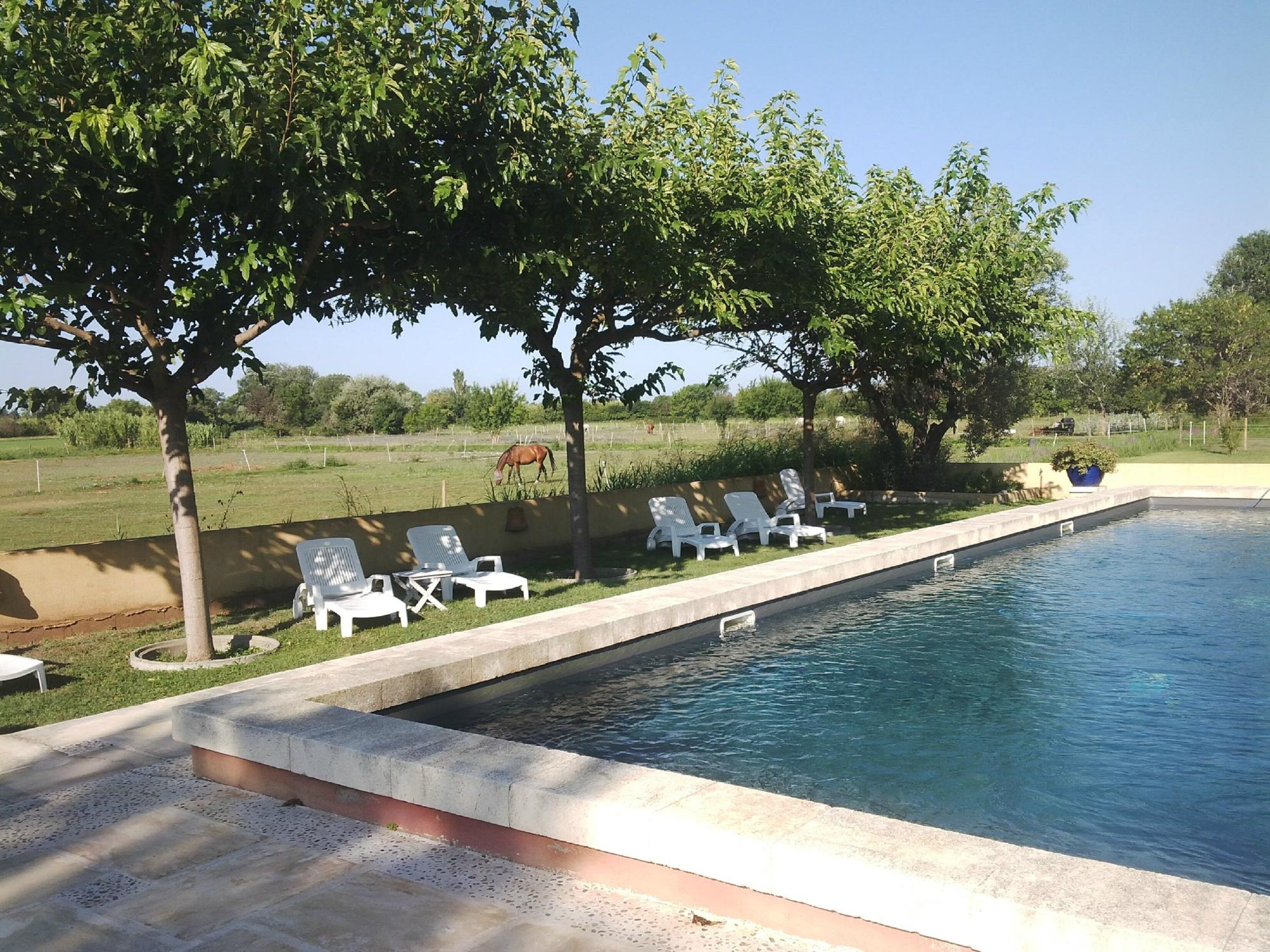 Une piscine avec des chaises longues et une pelouse.
