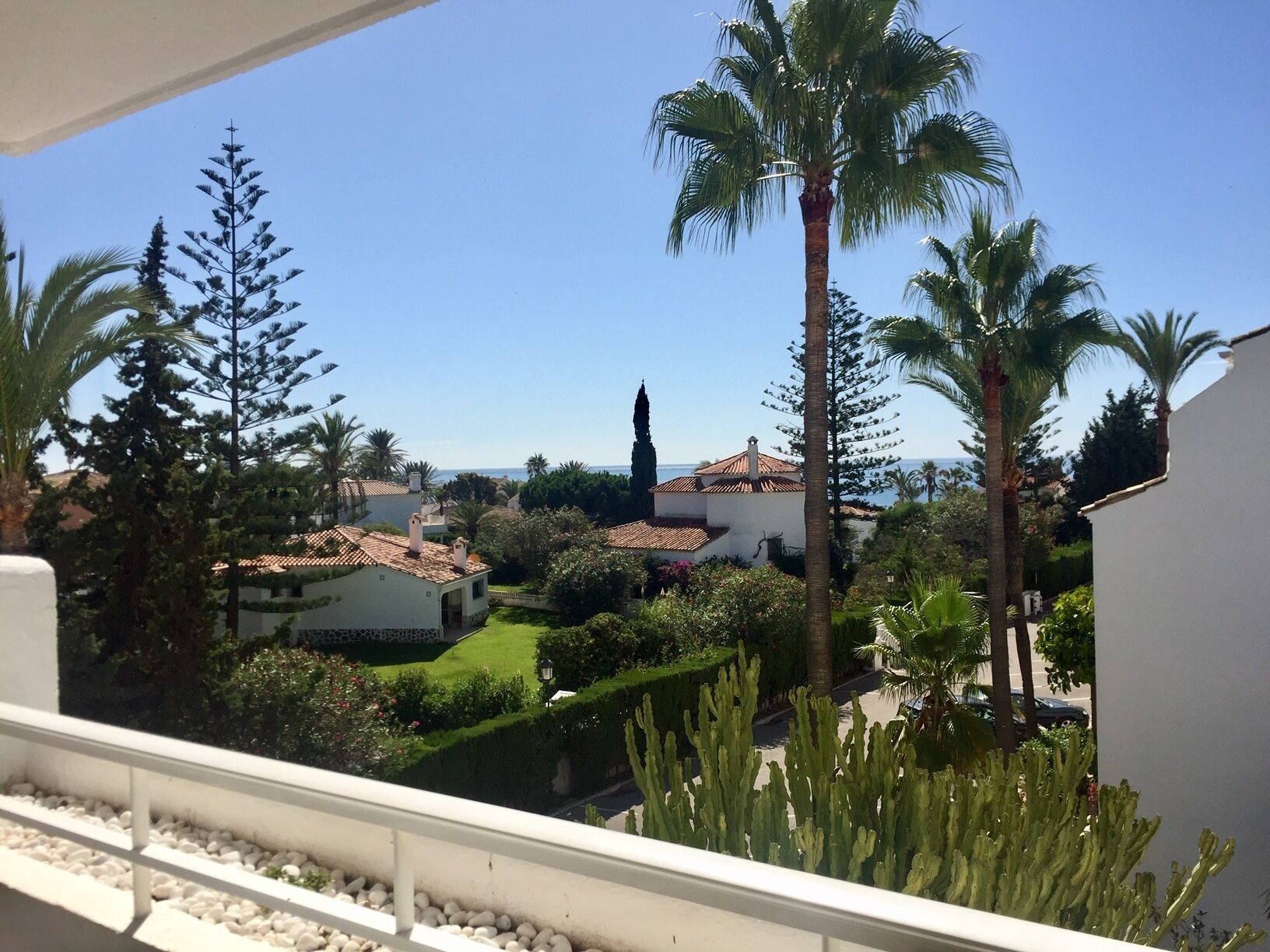A residential area with houses, palm trees, and a clear blue sky.