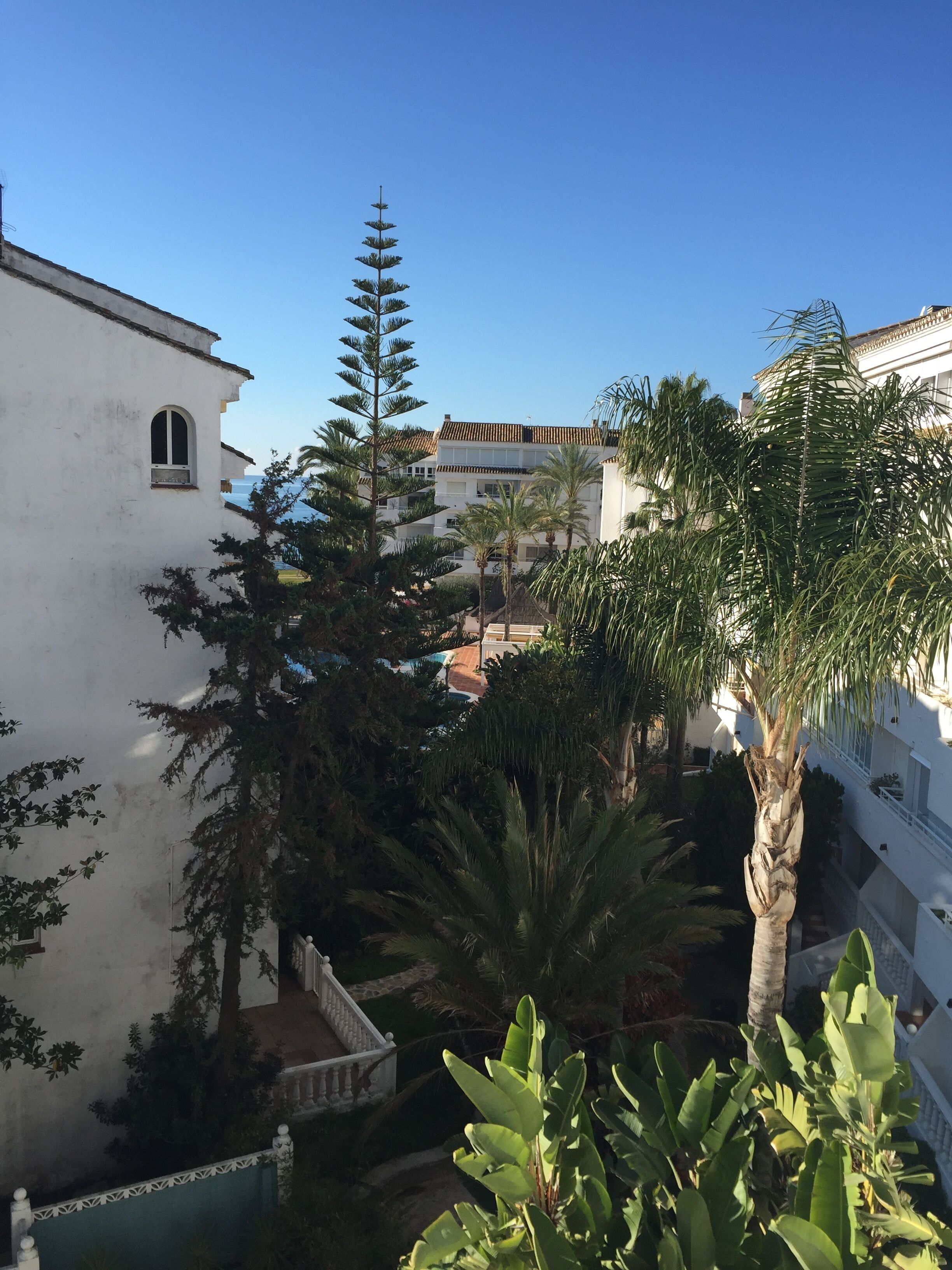 Vista des de l'habitació