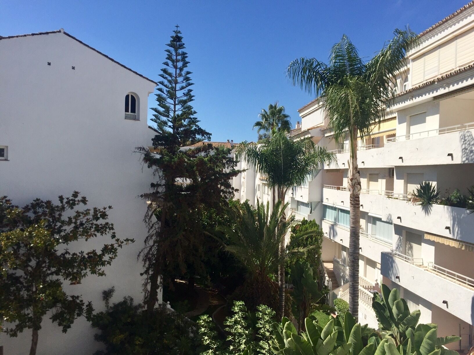 Un edificio de varios pisos con balcones y un jardín con diversas plantas.