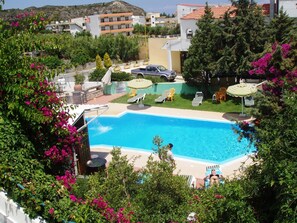En swimmingpool med solstolar och parasoller, omgiven av grönska och byggnader.