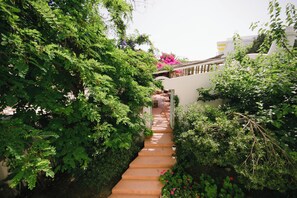 Un escalier entouré d’une végétation luxuriante et de plantes en fleurs.