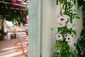 Vista desde la propiedad