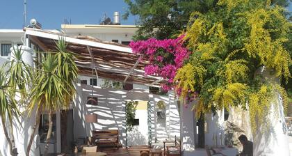 Gorgona Studios