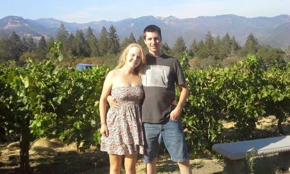 A vineyard with rows of grapevines and a mountain range in the background. - Makiivka Estate (Lakeport)