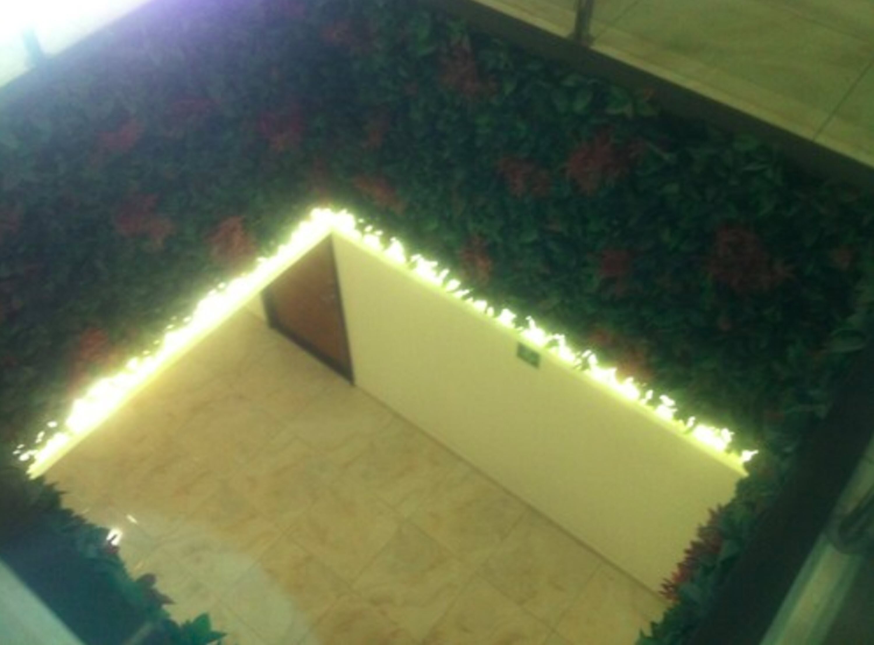 Photo - Hotel Leones