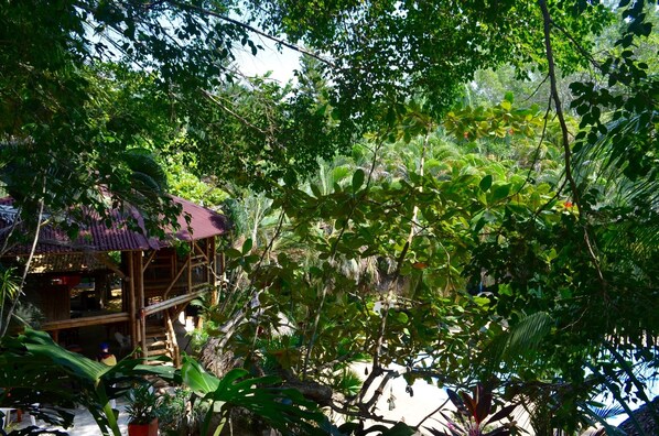 Poolside bar - Amanwana Ecofinca (Melgar)
