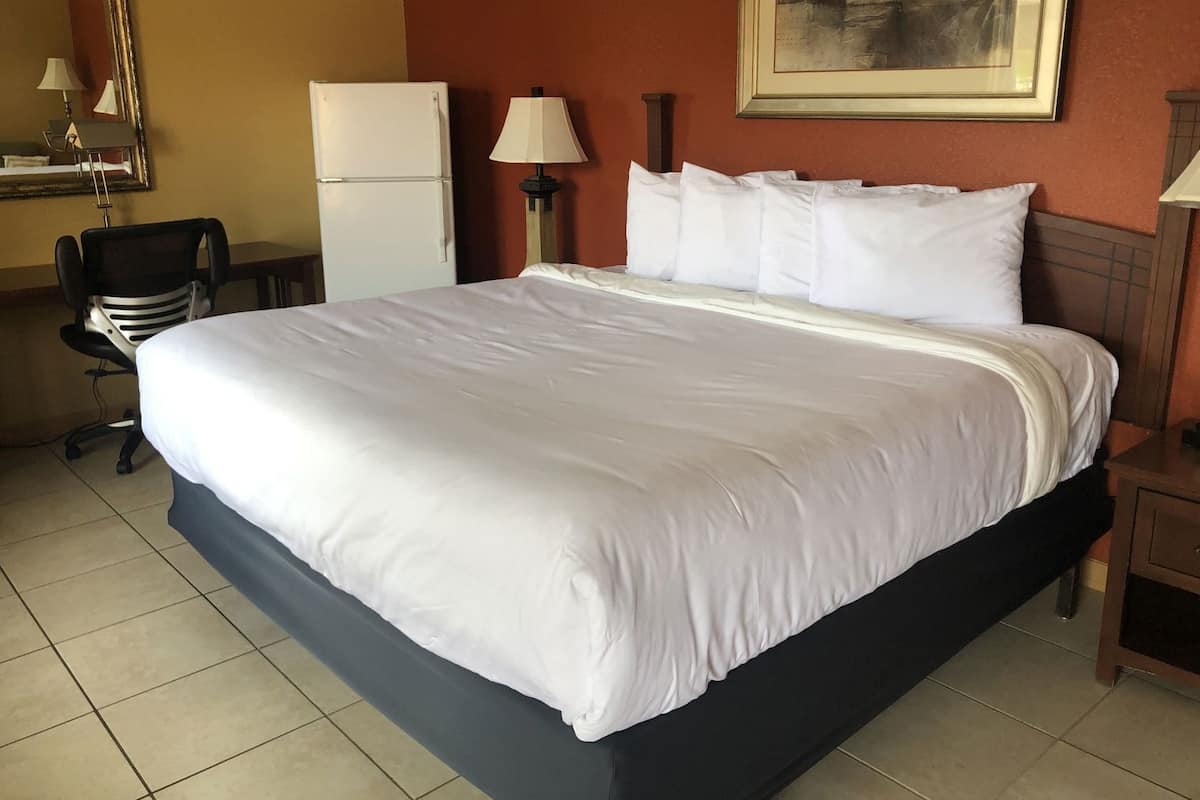 Habitación de hotel con una cama grande, un escritorio con una silla, un refrigerador y una lámpara.