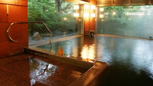 A hot spring bath area with a glass wall, wooden paneling, and a metal handrail. - Nasu Onsen Sanraku (Nasu)