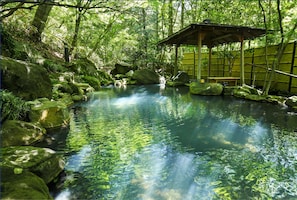 Hot springs