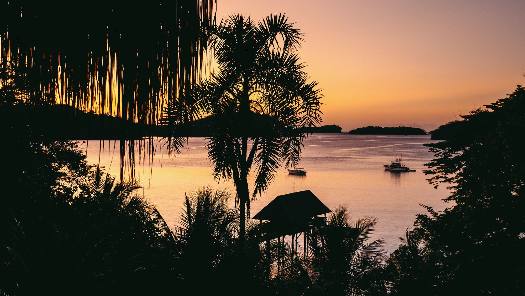 A sunset view with palm trees and calm water.
