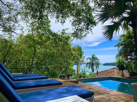 Outdoor pool, pool loungers. Seagull Cove Resort