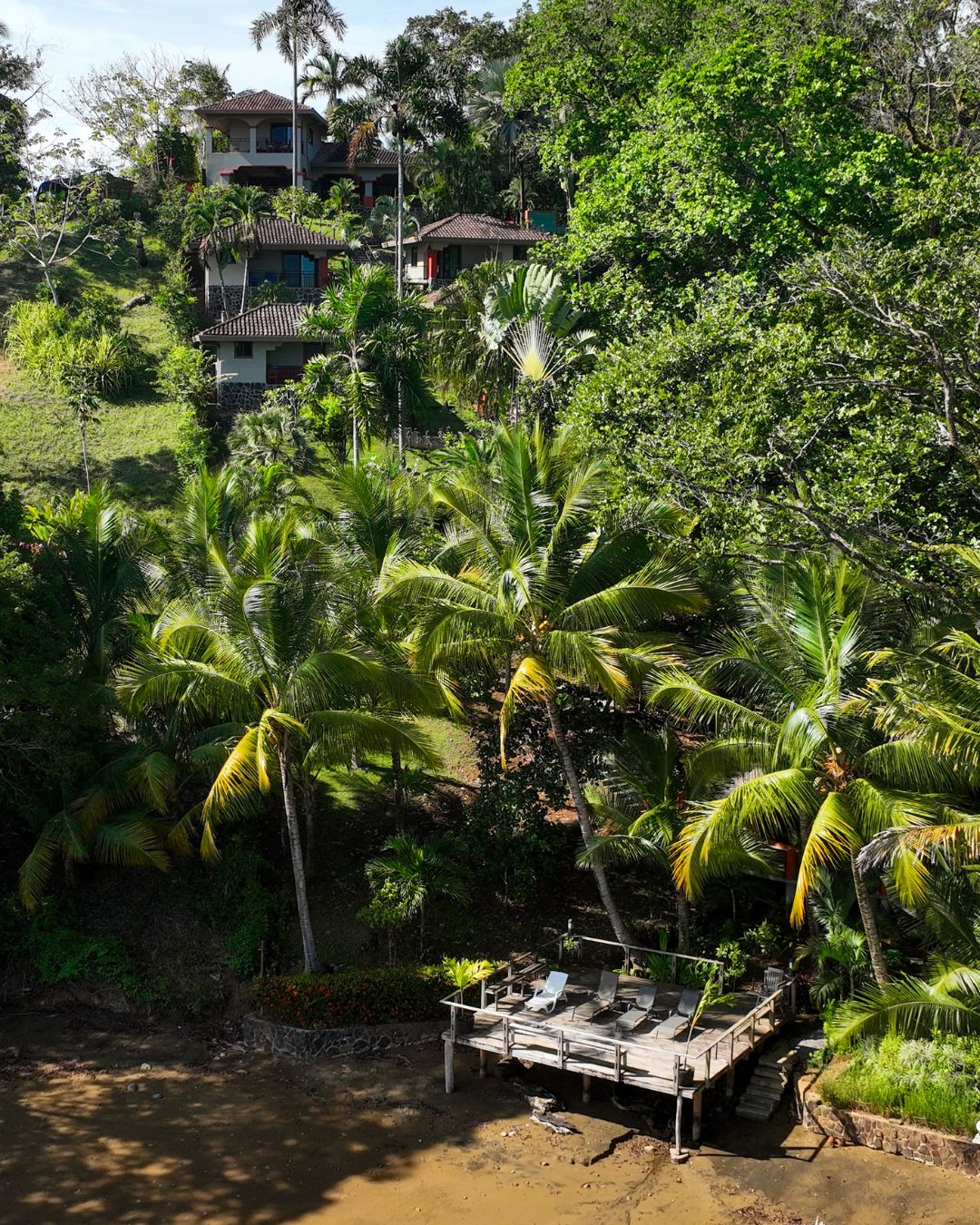 Un resort tropical con una terraza de madera con vistas a un río, rodeado de exuberante vegetación y palmeras.