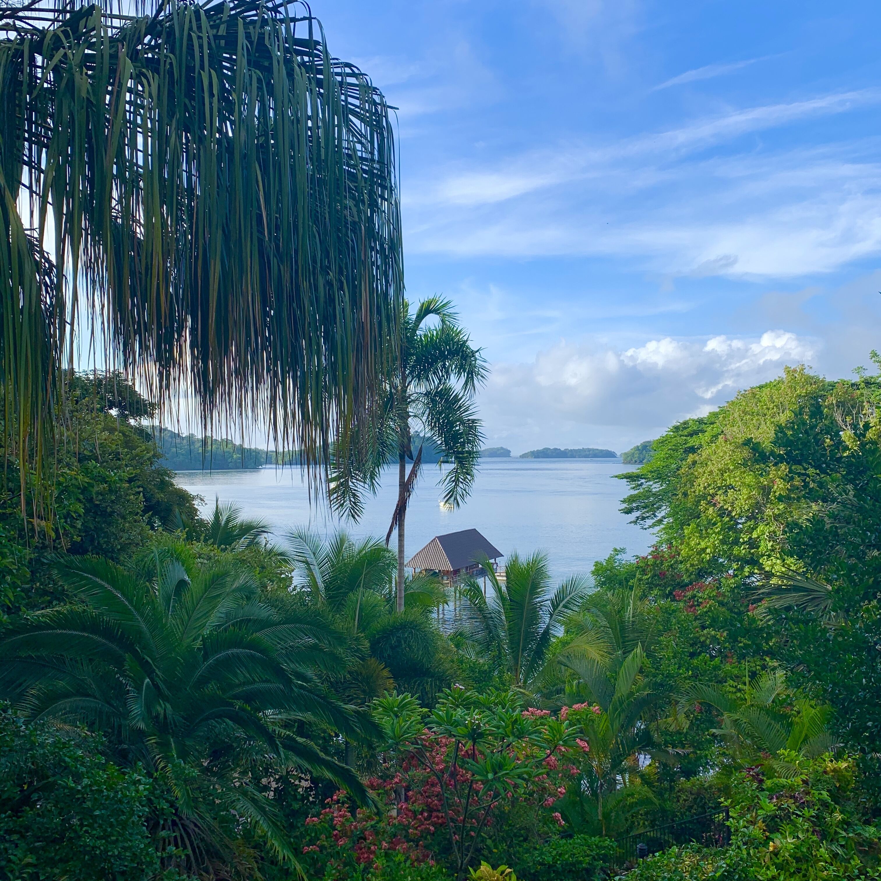 Vue sur le jardin