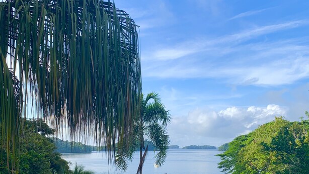 A tropical resort with a view of a calm sea, lush greenery, and a small building with a roof. - Seagull Cove Resort (Boca Chica)