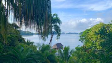 Vue sur le jardin