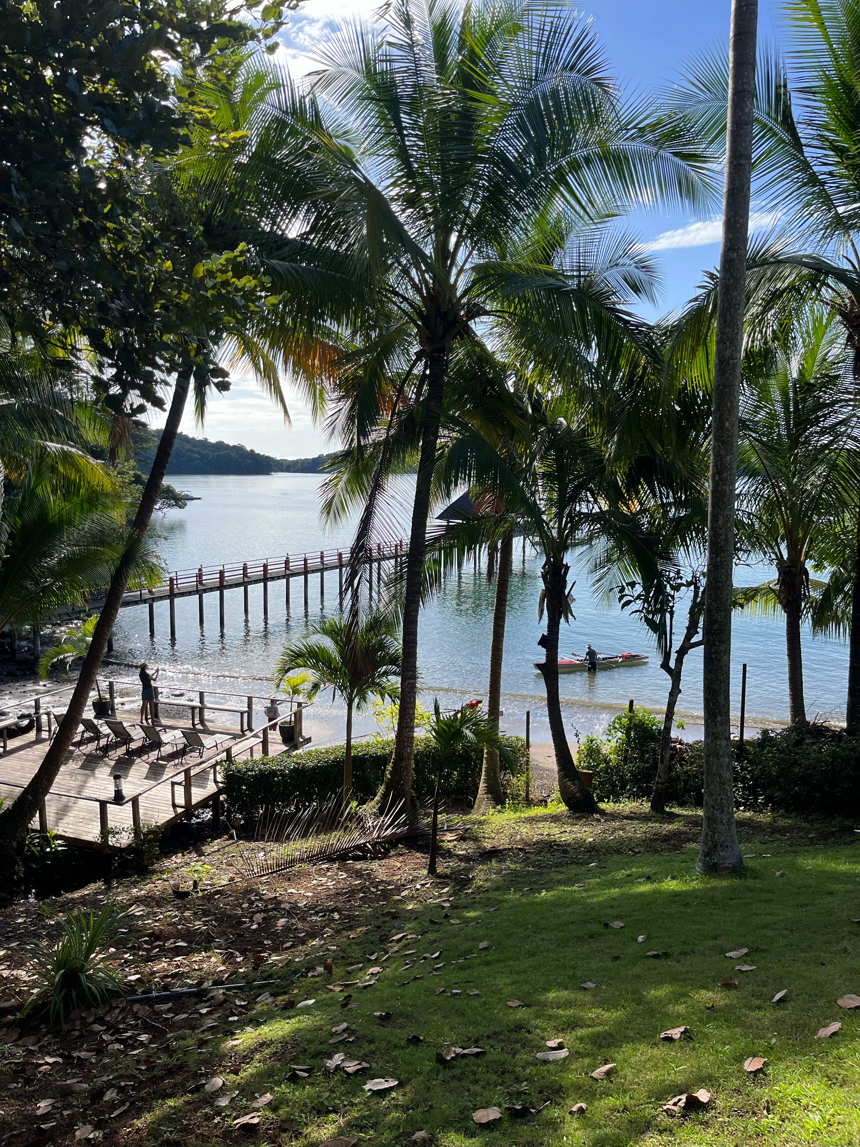 A wooden deck with chairs, a palm tree, and a view of a calm body of water.