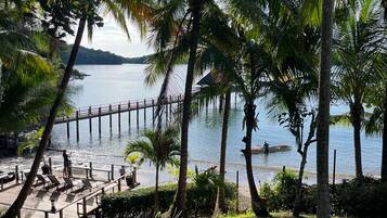 A wooden deck with chairs, a palm tree, and a view of a calm body of water.