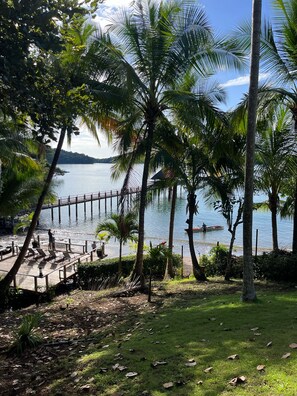 A wooden deck with chairs, a palm tree, and a view of a calm body of water. - Seagull Cove Resort (Boca Chica)