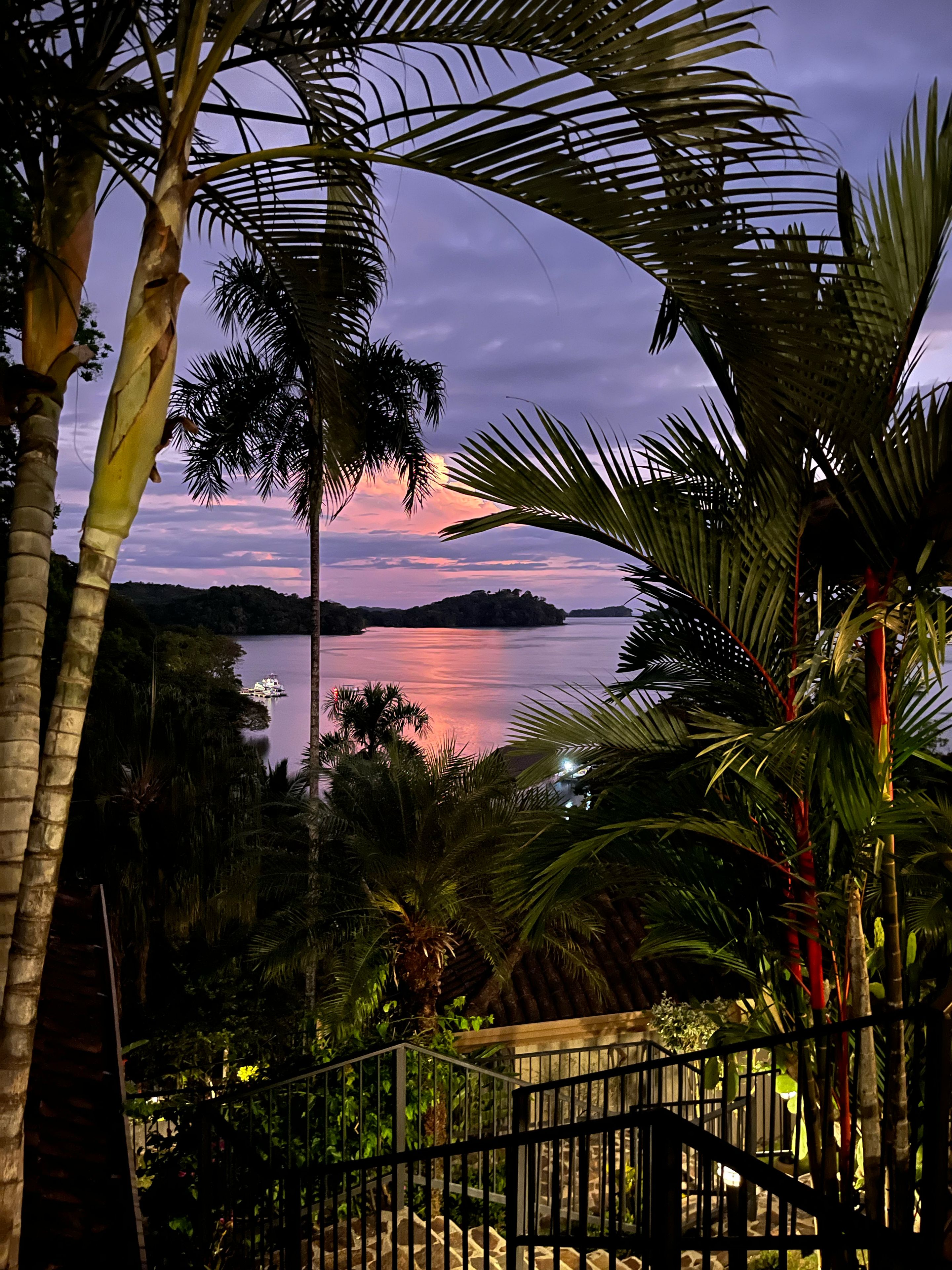 Un paysage tropical avec des palmiers, une étendue d’eau et une île lointaine.