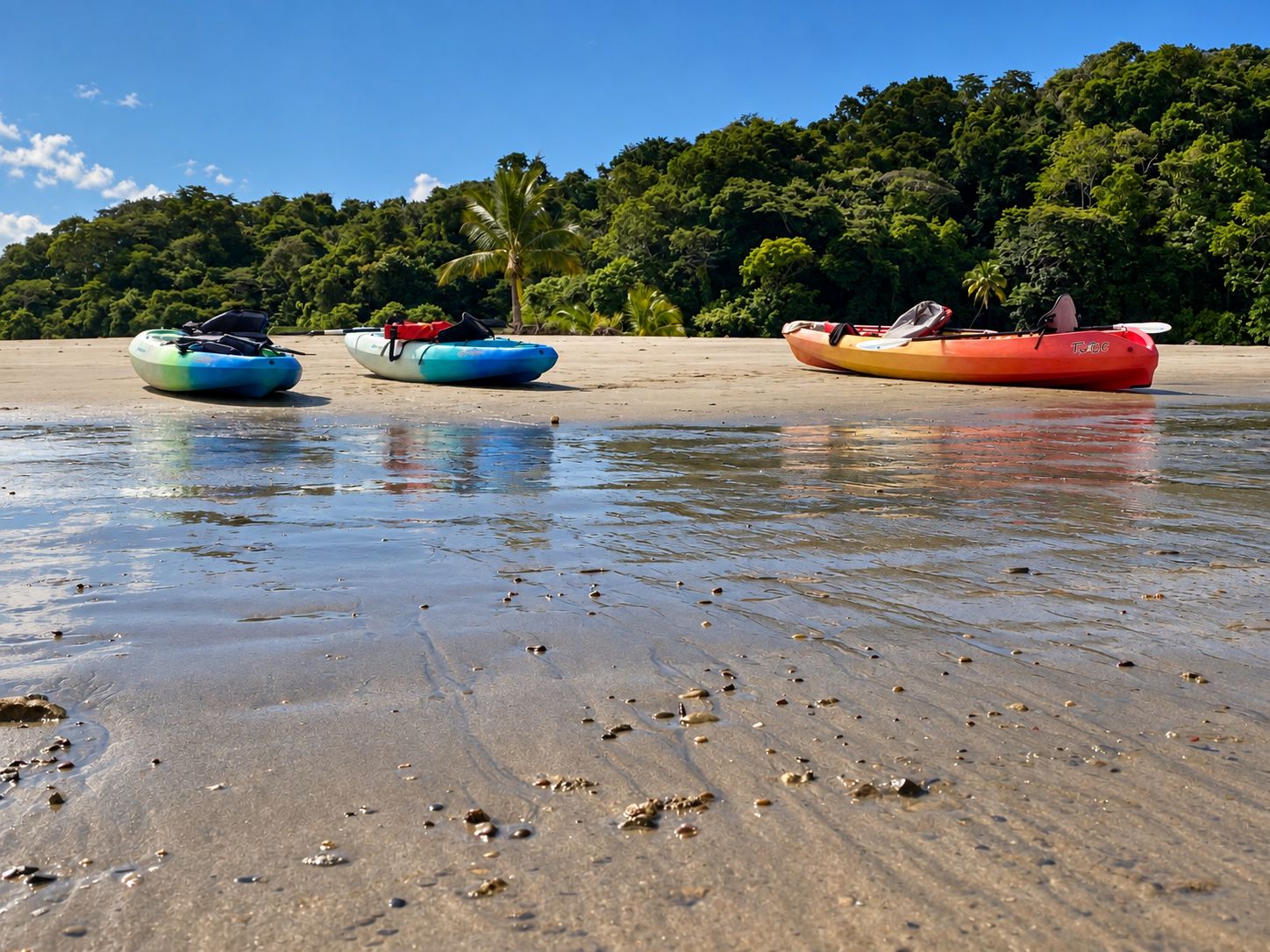 Una playa con kayaks alineados en la arena y un bosque al fondo.