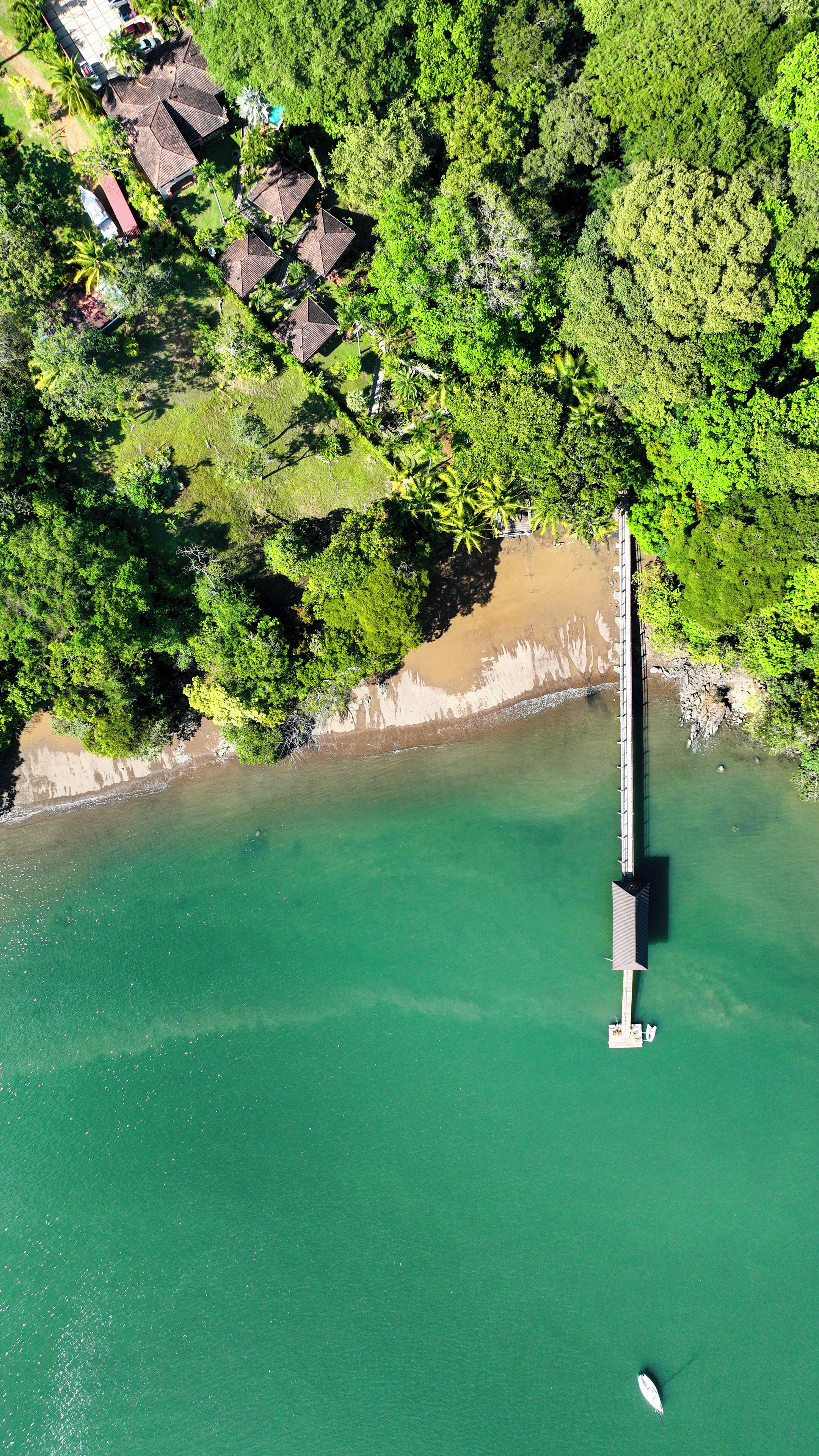An aerial view of a coastal area with a bridge, dense greenery, and a sandy beach.