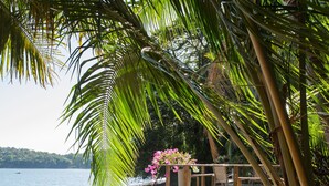 Una terraza de madera con un cantero lleno de flores, con vista a una playa que cuenta con barandilla de madera y una silla.