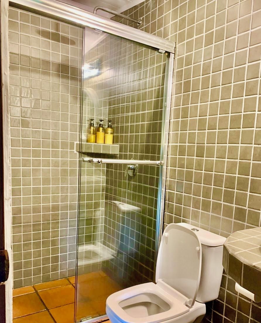 A bathroom with a glass-enclosed shower, a toilet, and a shelf with toiletries.