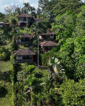 A residential area with multiple houses surrounded by lush greenery and palm trees. - Seagull Cove Resort (Boca Chica)