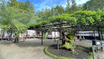 A traditional Japanese garden with a stone lantern, a wooden pergola, and a koi pond.