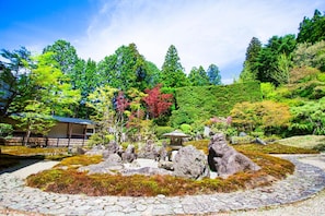 Japanese garden