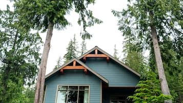 Luxury Chalet, 1 King Bed with Sofa bed | Terrace/patio