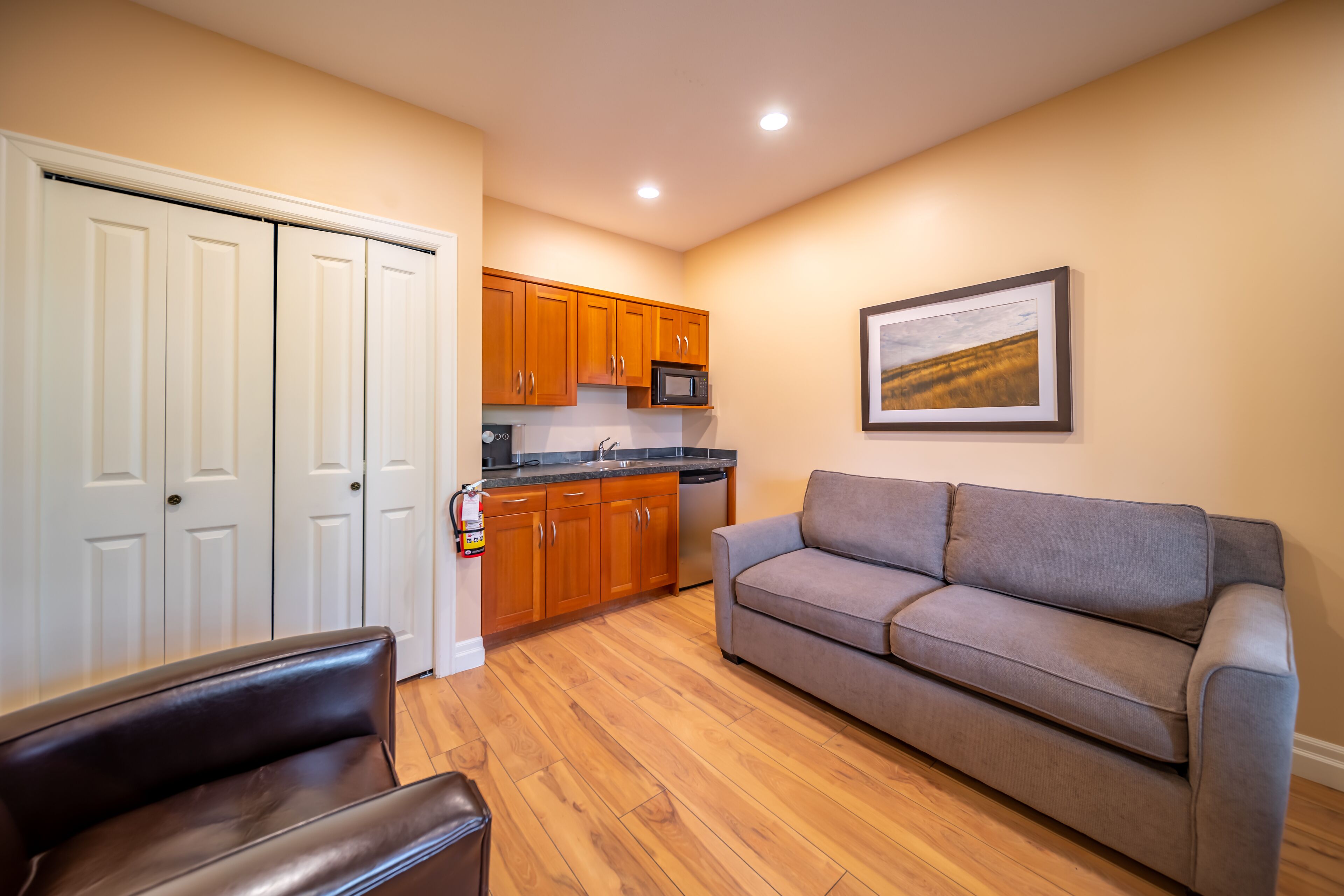 deluxe studio suite | living area | 40-inch smart tv with satellite channels, tv