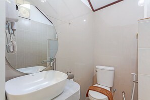 Un baño con un lavamanos ovalado grande, un inodoro y un espejo.