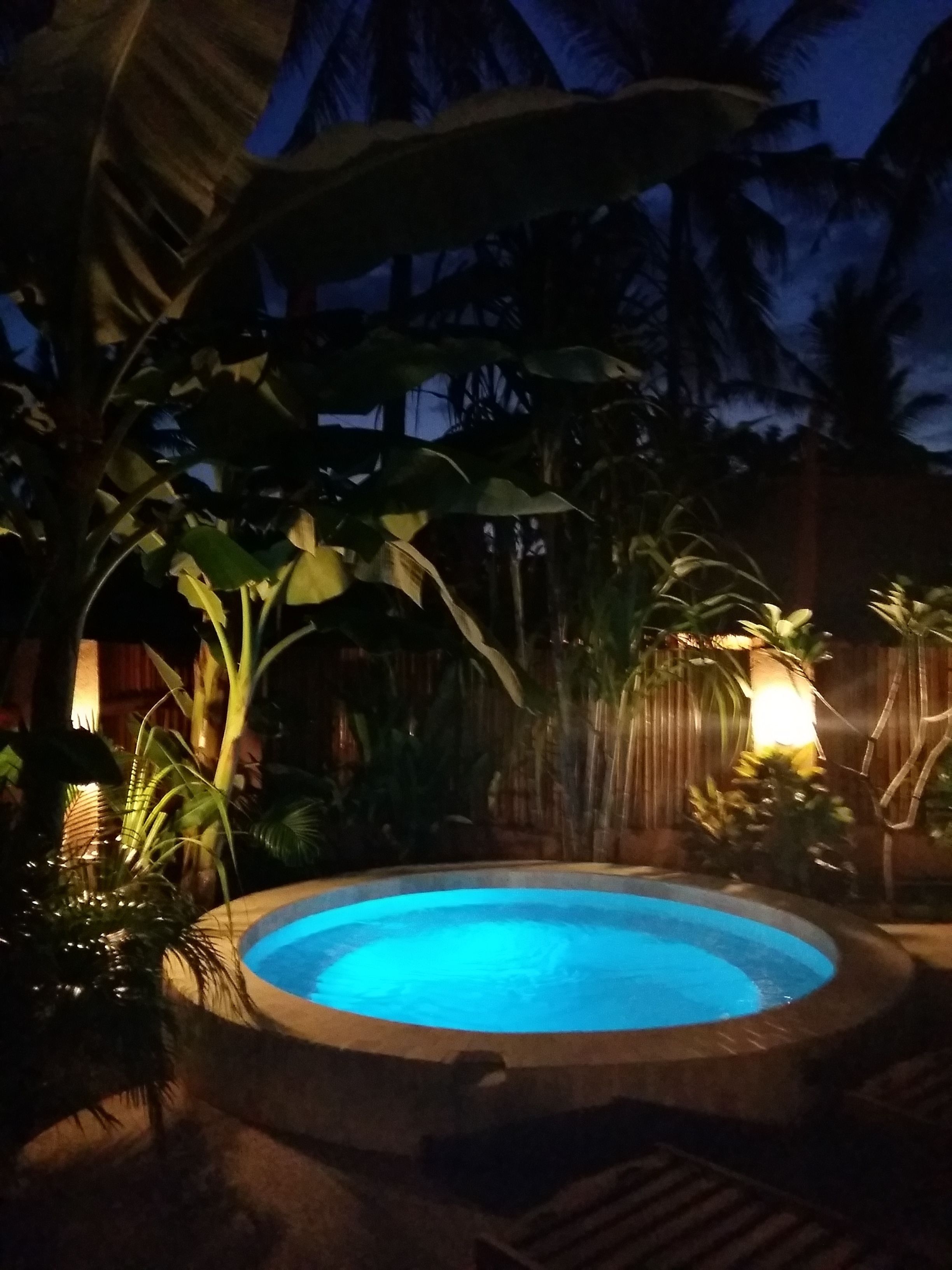 Une piscine circulaire entourée de plantes tropicales et délimitée par une clôture en bois.