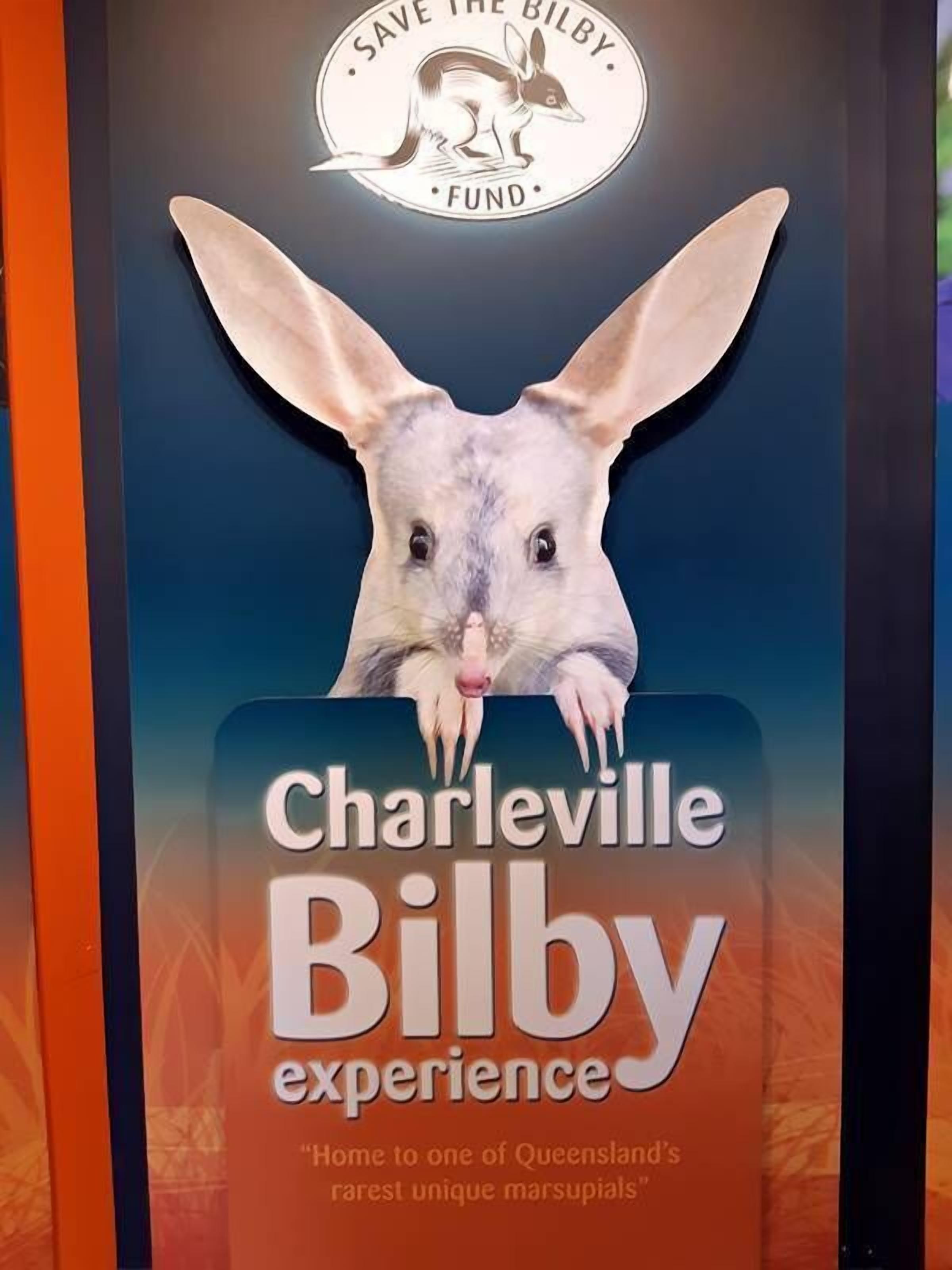 Póster para la experiencia Charleville Bilby, con una ilustración de un canguro y texto que promociona la iniciativa.