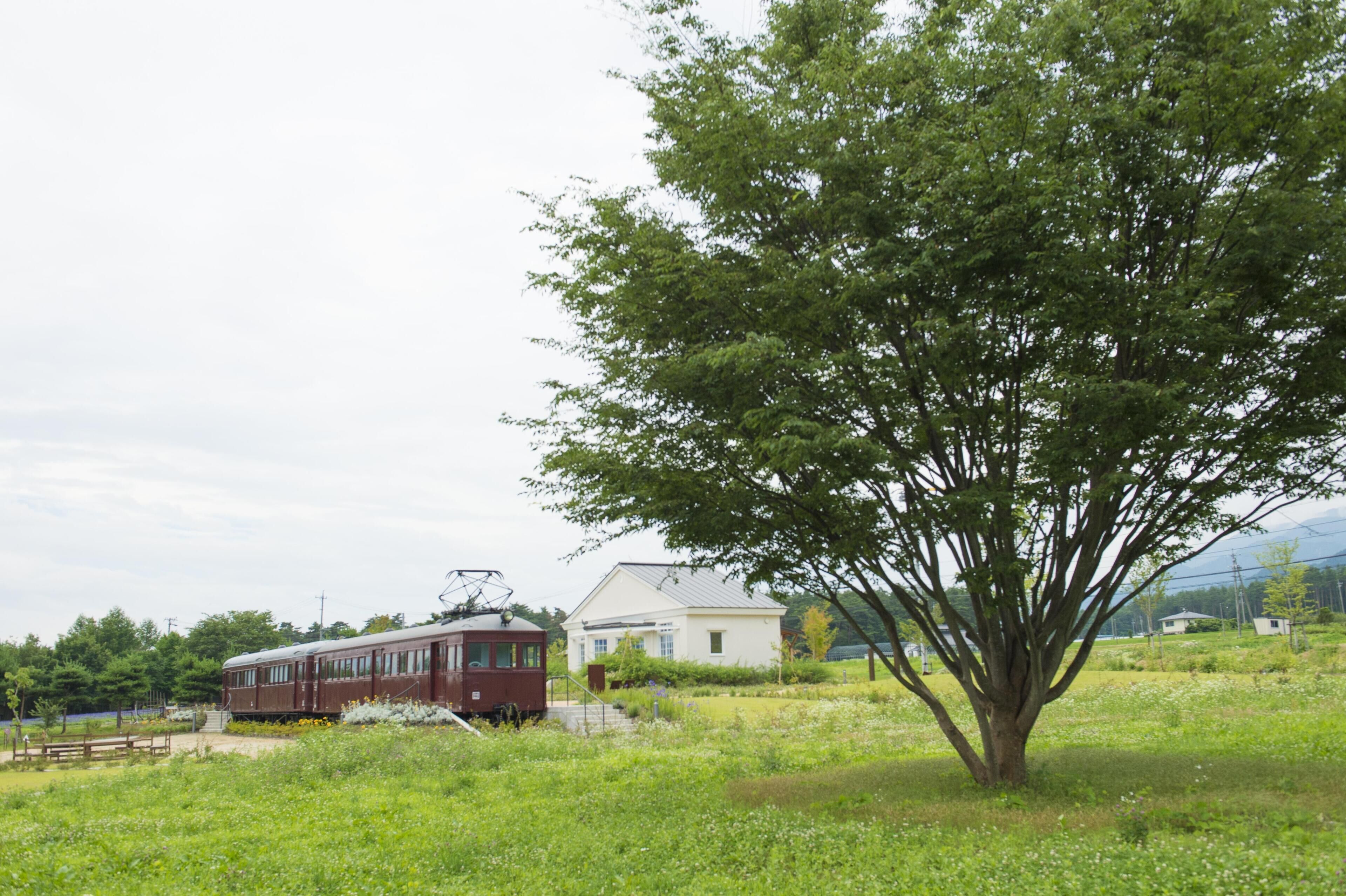 A red tram parked near a white building with a tree in the foreground.
