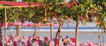 PinkCoco Gili Trawangan - Constant Surprises- for Cool Adults Only
