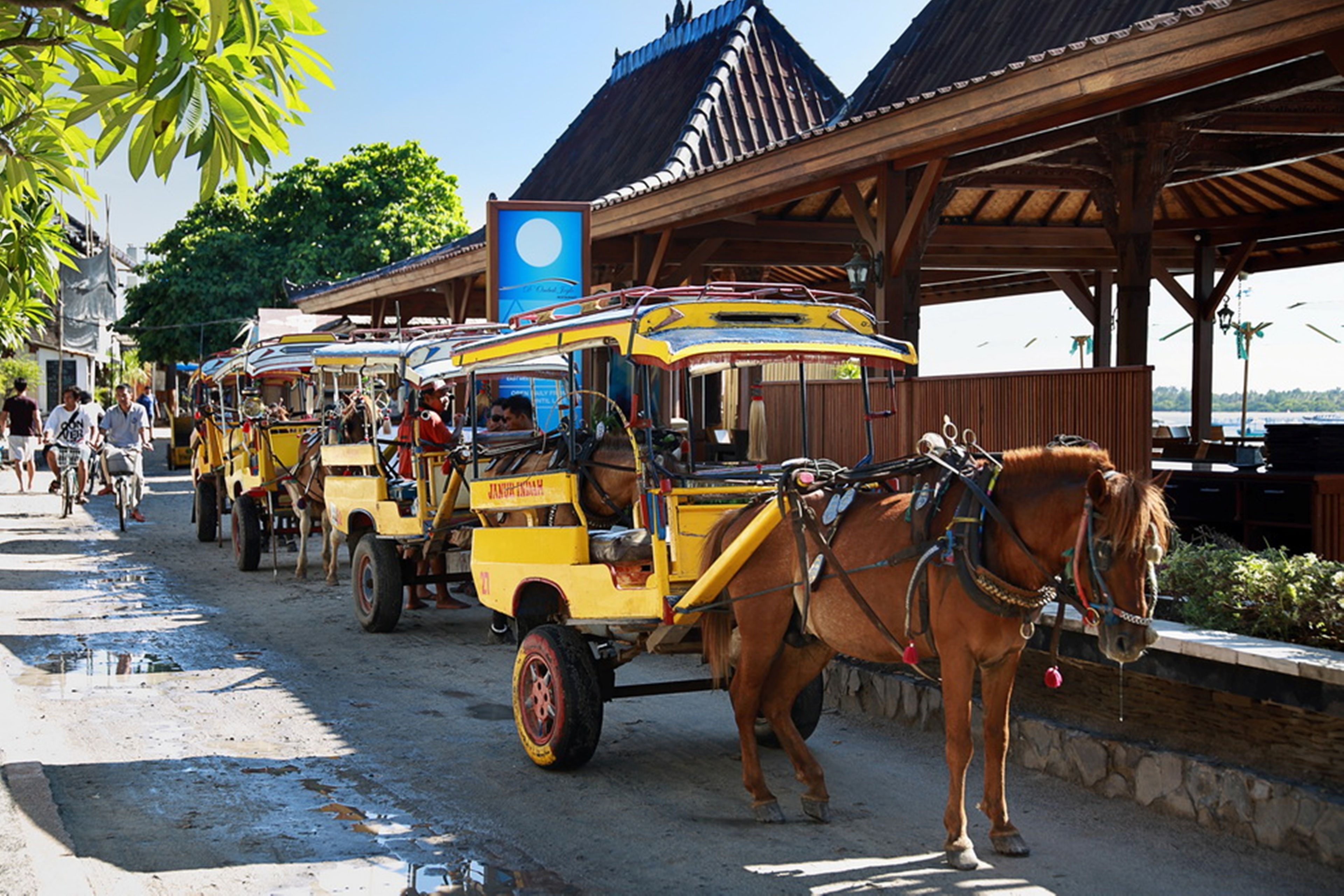 A row of horse-drawn carriages parked under a covered area with a traditional roof.