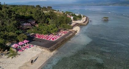 PinkCoco Gili Trawangan - Constant Surprises- for Cool Adults Only