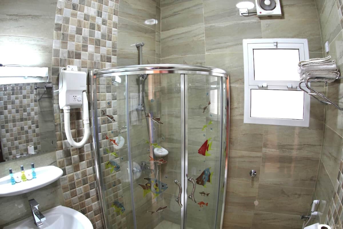 A bathroom with a glass-enclosed shower, a sink, a toilet, and a mirror.