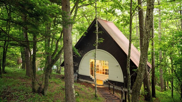 A cabin with a curved roof, surrounded by trees, and accessible by a wooden staircase. - Wan WanParadise Tateshina (Tateshina)