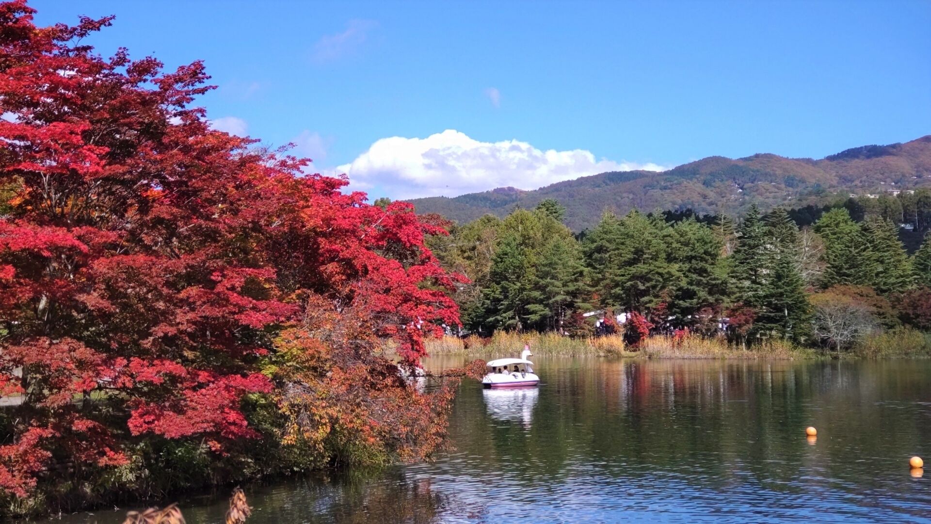 Un lago con un bote, rodeado de árboles con follaje otoñal.