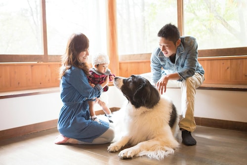 Wan WanParadise Tateshina