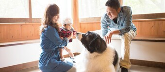 Wan WanParadise Tateshina