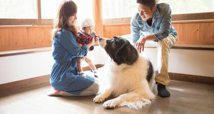 Wan WanParadise Tateshina