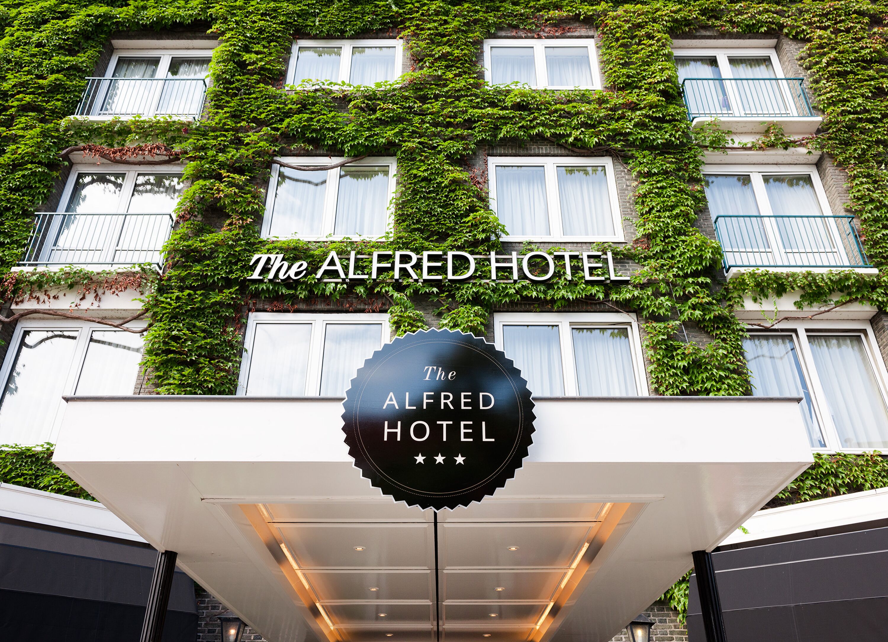 Photo - The Alfred Hotel