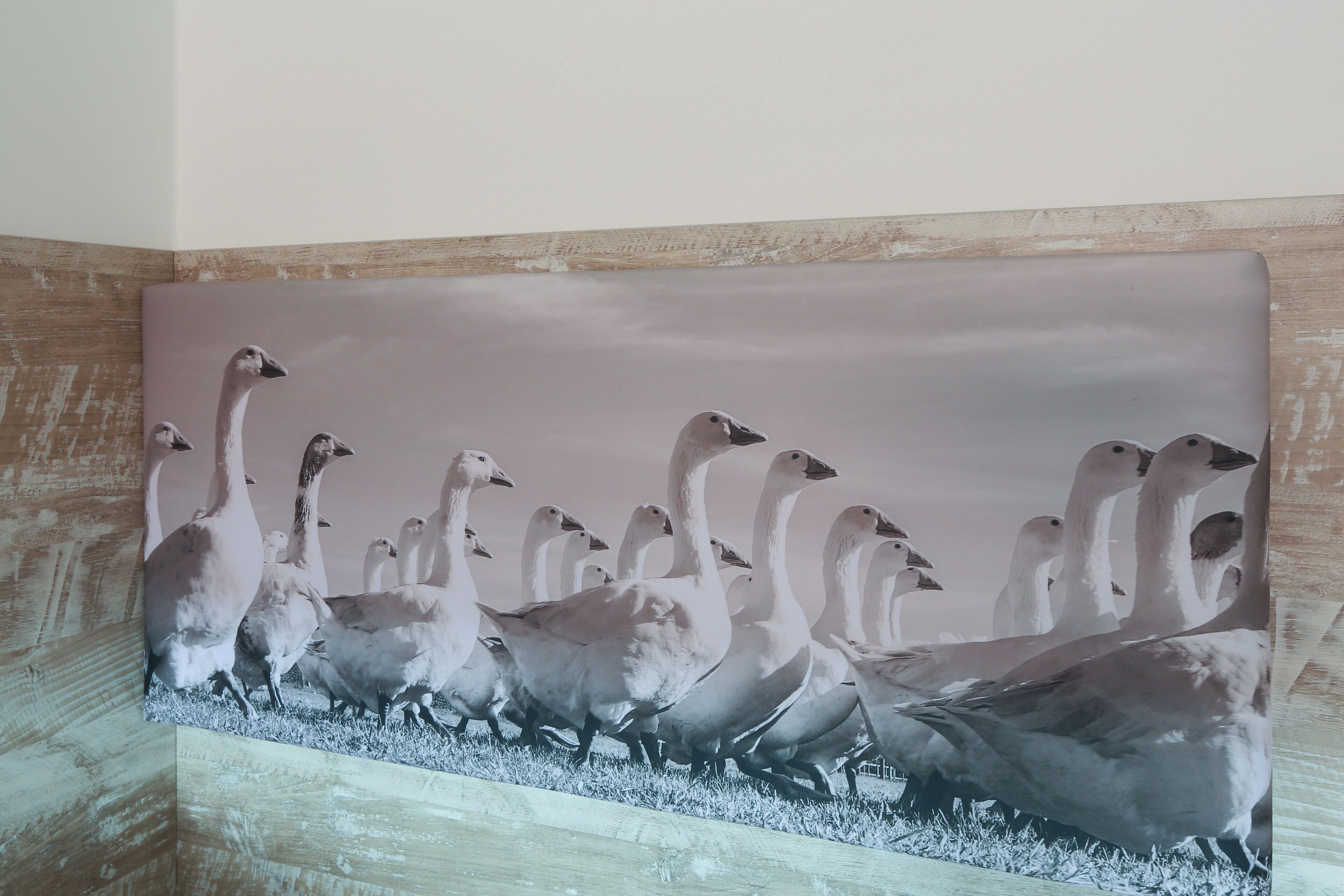 standard single room | premium bedding, in-room safe, desk, soundproofing