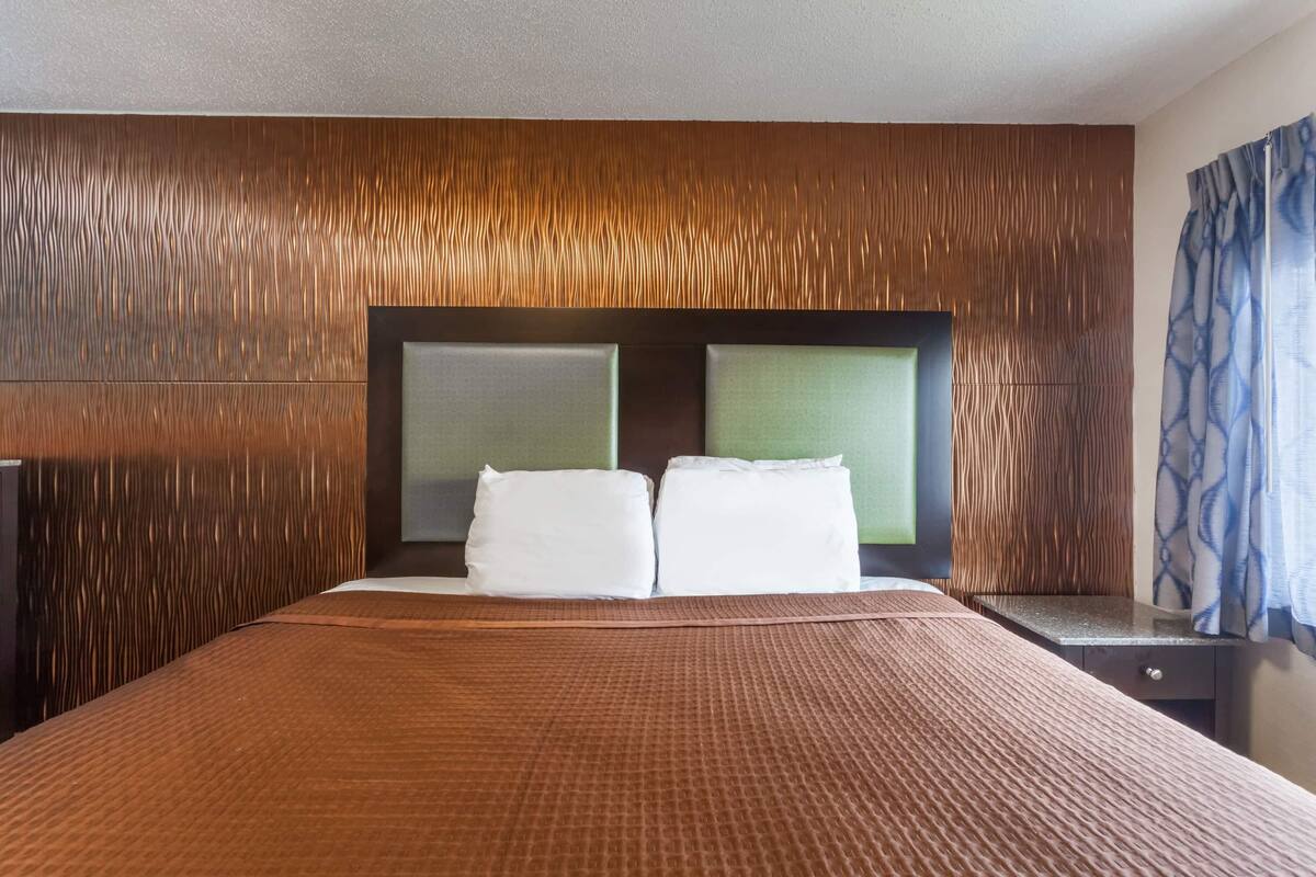 Habitación de hotel con una cama grande, cabecera con diseño texturizado, mesita de noche y ventana con cortinas.